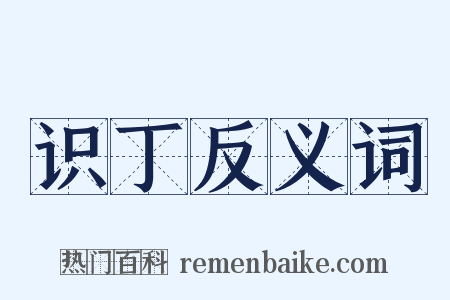 识丁反义词是什么意思的图片